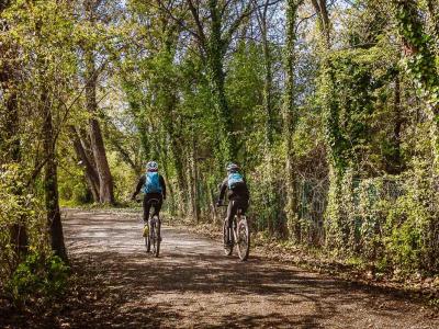 sassabanek it offerta-campeggio-lago-iseo-tour-bicicletta-franciacorta 018