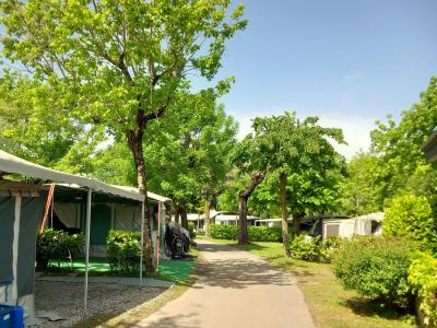 Campsite with tents and green trees on a sunny day.