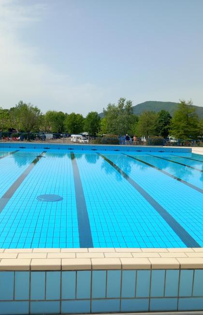 Outdoor pool with mountain and tree views.