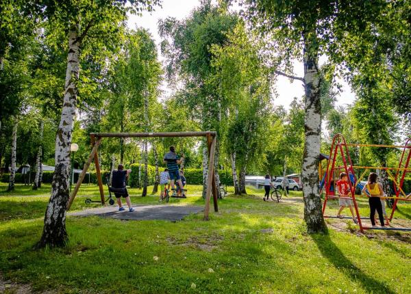 Children playing in a park with swings and trees.