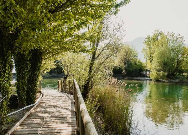 Sentiero di legno lungo un fiume circondato da alberi verdi.