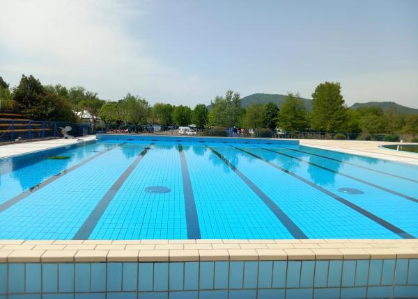 Outdoor pool with mountain and tree views.
