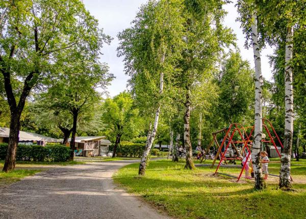 Playground with swings in a green, tree-filled area.