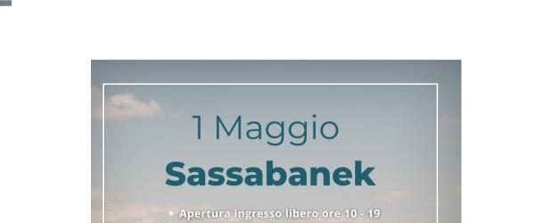 sassabanek it amministrazione-trasparente 011