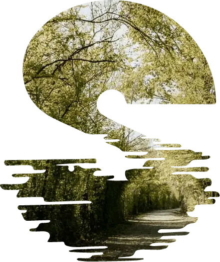 sassabanek en en 001